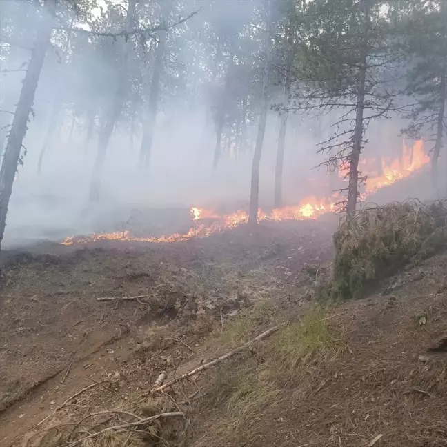 Çorum'un Osmancık ilçesinde yangın çıktı