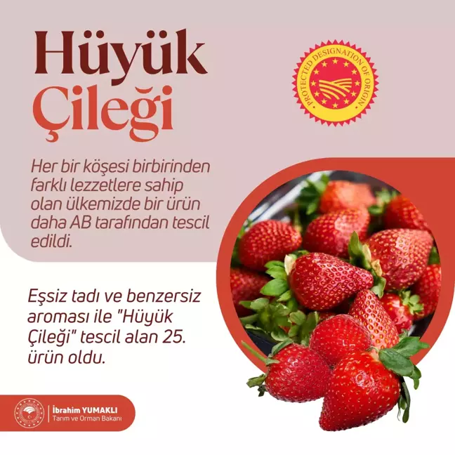 Hüyük Çileği AB'den Coğrafi İşaret Tescili Aldı