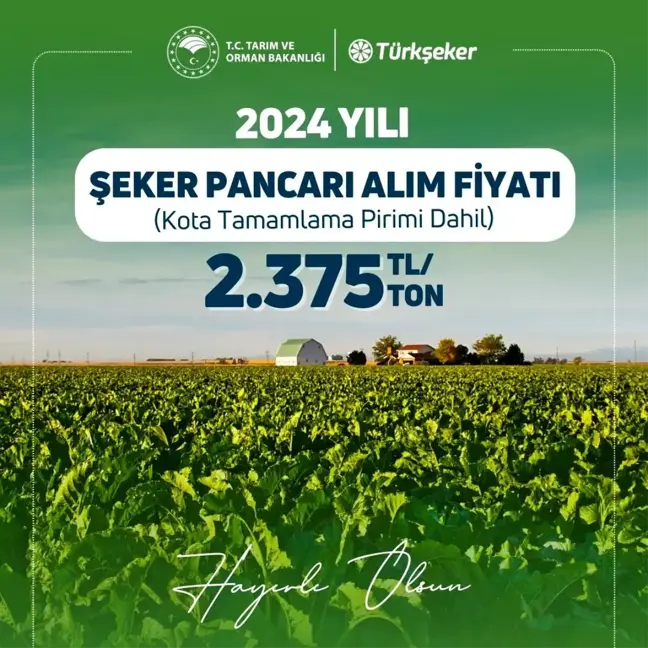 2024 Şeker Pancarı Alım Fiyatı Belirlendi