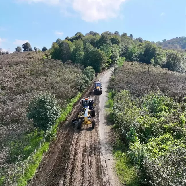 Terme Belediyesi'nden Yolda Düzenleme Çalışması