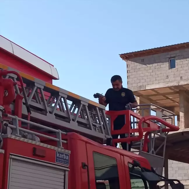 Hakkari'de Çatıda Sıkışan Güvercin İtfaiye Tarafından Kurtarıldı