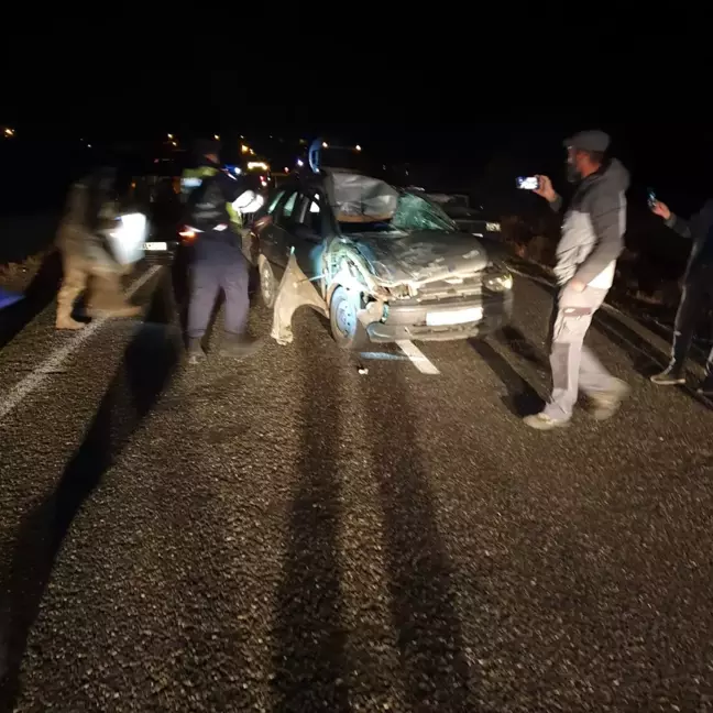 Elazığ'da İneğe Çarpan Otomobilde 3 Yaralı