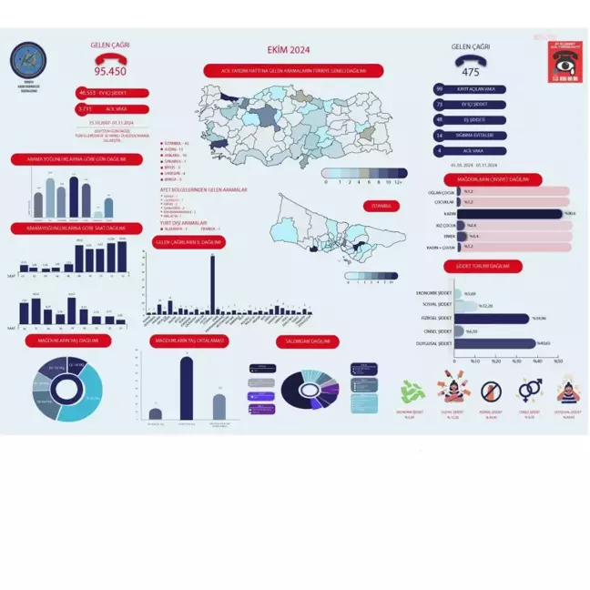 Ekim ayında Ev İçi Şiddet Acil Yardım Hattı'na 475 çağrı geldi