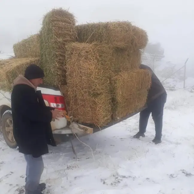 Kırşehir'de Yaban Hayvanları için Yem Bırakıldı