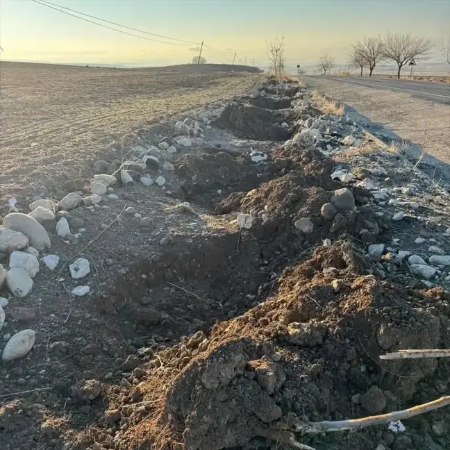 Çemişgezek'te Dikilen Dut Fidanları Çalındı