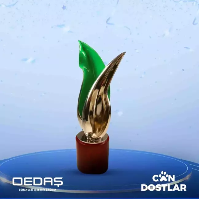 OEDAŞ'ın Can Dostlar Projesi, Uluslararası Ödül Aldı