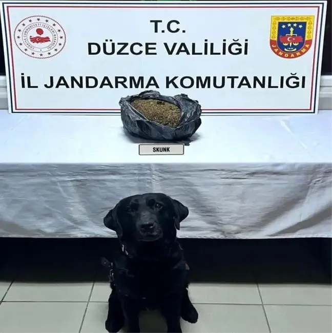 Düzce'de Uyuşturucu Operasyonu: 1 Kilogram Skunk Ele Geçirildi