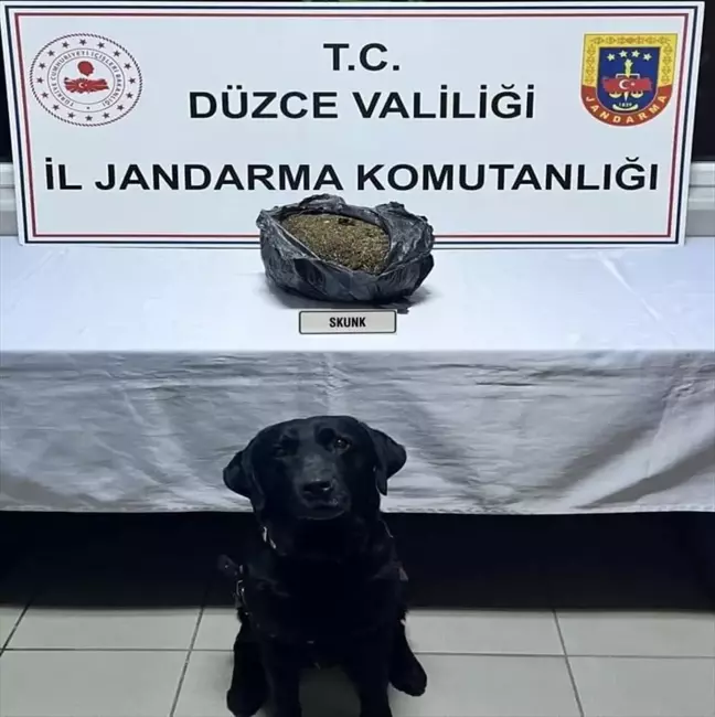 Düzce Otoyolu'nda Uyuşturucu İle Yakalanan Şüpheli Tutuklandı