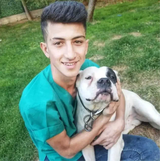 Son dakika haber | Parktaki kavgada Mehmet'i tüfekle öldüren sanıklar, tahliye istedi