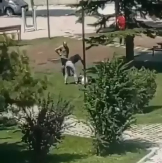 Parkta çıkan kavgada adam öldürüldü, sanıklara hapis cezası