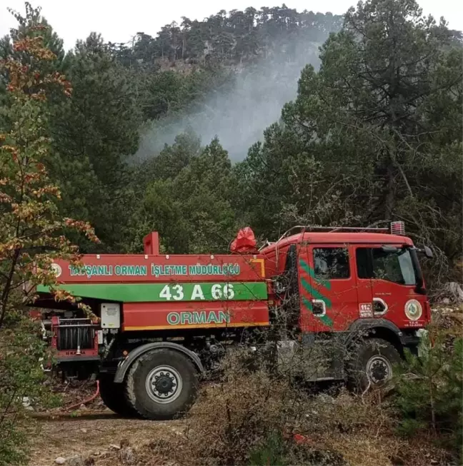 Kütahya'da Ormanlık Alanda Yıldırım Düşmesi Sonucu Yangın Söndürüldü