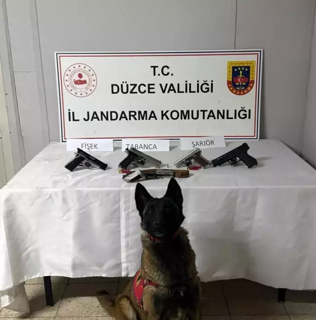 Düzce'de Jandarma Operasyonu: Ruhsatsız Silahlar Ele Geçirildi