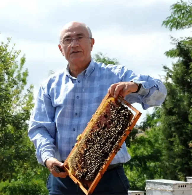 Omü Saf Bal Üretiminde Rekoru Yakaladı