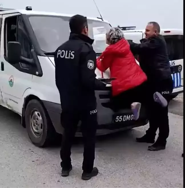 Samsun'da Kadın Zabıta Aracına Çıkarak Hayvan Toplamaya Tepki Gösterdi