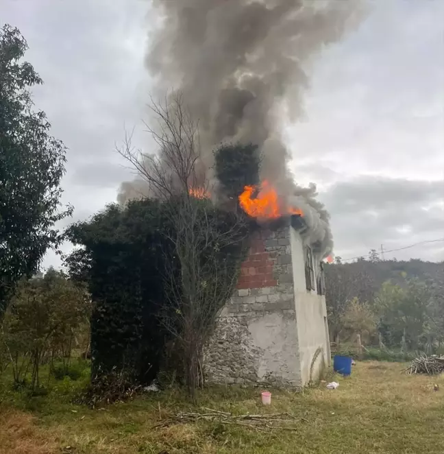 Giresun'da Evde Yangın Çıktı