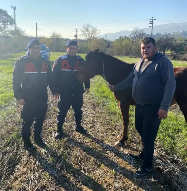 Kaybolan Rahvan At, Jandarma Tarafından Bulundu