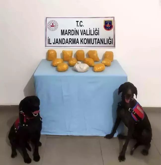 Son dakika 3. sayfa: Jandarmadan zehir tacirlerine operasyon