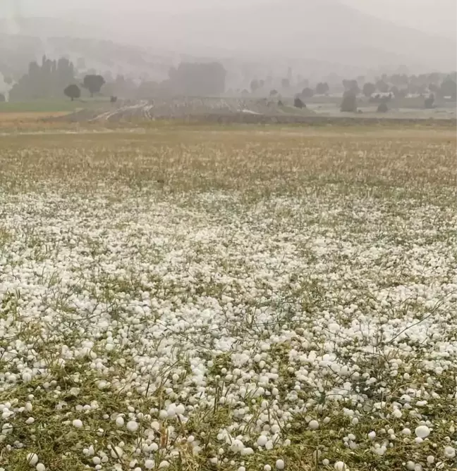 Dolu, ekili alanlara zarar verdi