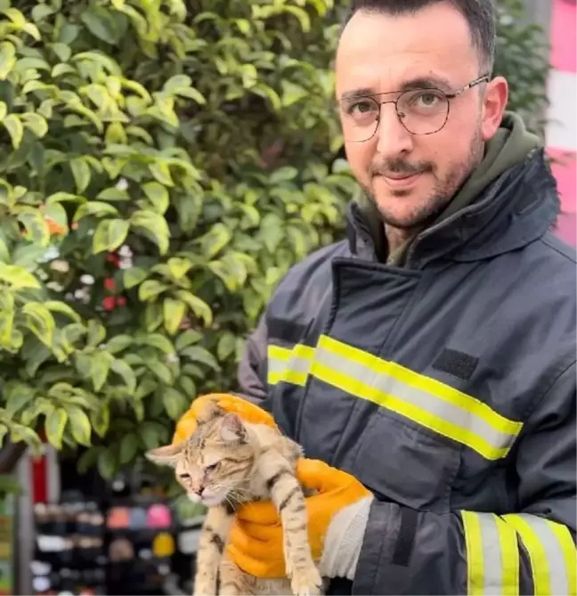 Düzce'de İtfaiye Ekipleri 3 Yavru Kediyi Kurtardı