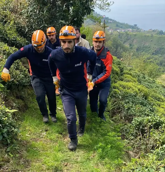 Çayeli'nde Teleferikten Düşen Kişi Hayatını Kaybetti