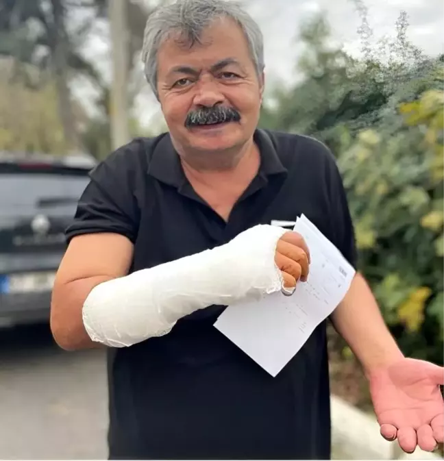 Zonguldak'ta Kediler Arasında Çıkan Kavga Engelsiz Yaşam Merkezi Müdürünü Yaraladı