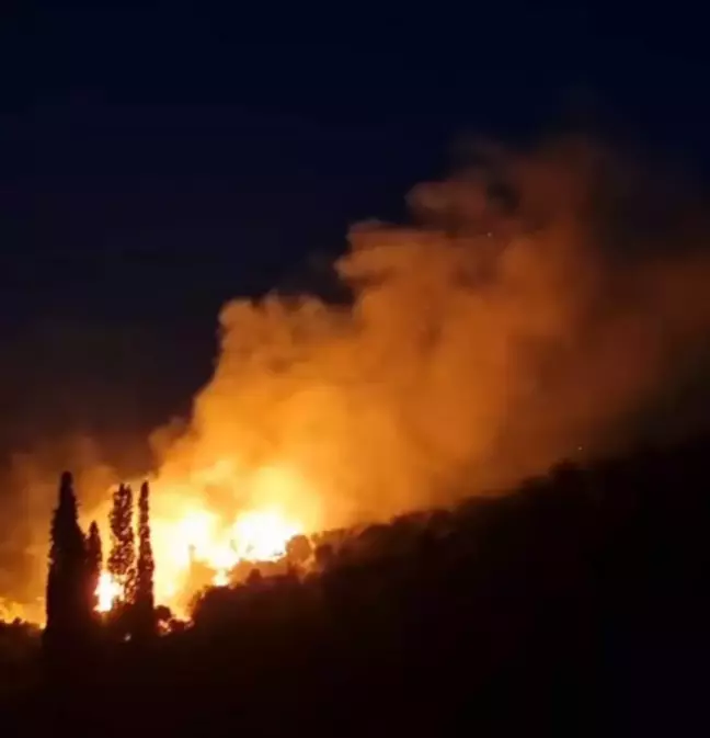 Karaburun'da çıkan orman yangını kontrol altına alındı