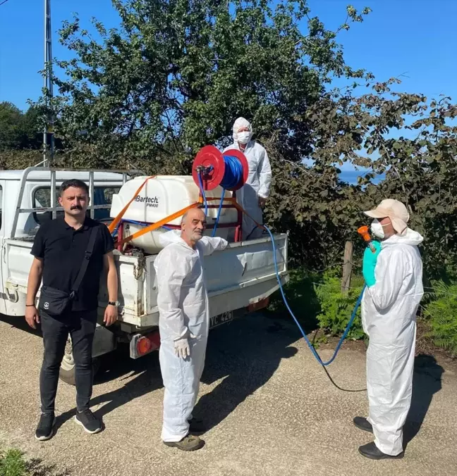 Giresun'da Kahverengi Kokarca Zararlısına Karşı İlaçlama Çalışmaları Başlatıldı