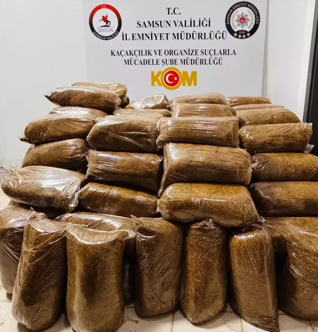 Samsun'da Kaçak Tütün Operasyonu: 475 Kilogram Ele Geçirildi