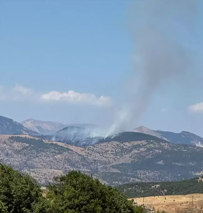 Tunceli'de Orman Yangını Çıktı