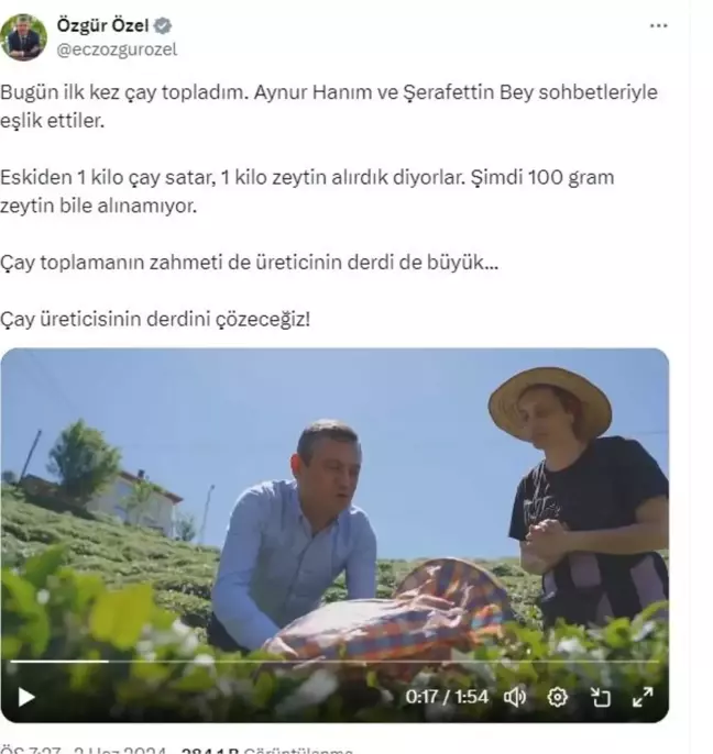 CHP Genel Başkanı Özgür Özel Rize'de Çay Hasadı Yaptı