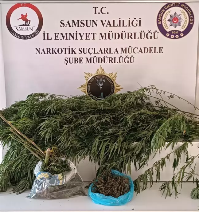 Samsun'un Çarşamba İlçesinde 1 Kilo 248 Gram Esrar Ele Geçirildi