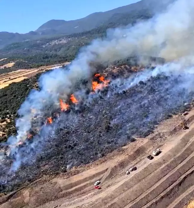 Manisa'da Gördes ve Yunusemre ilçelerinde orman yangınları devam ediyor