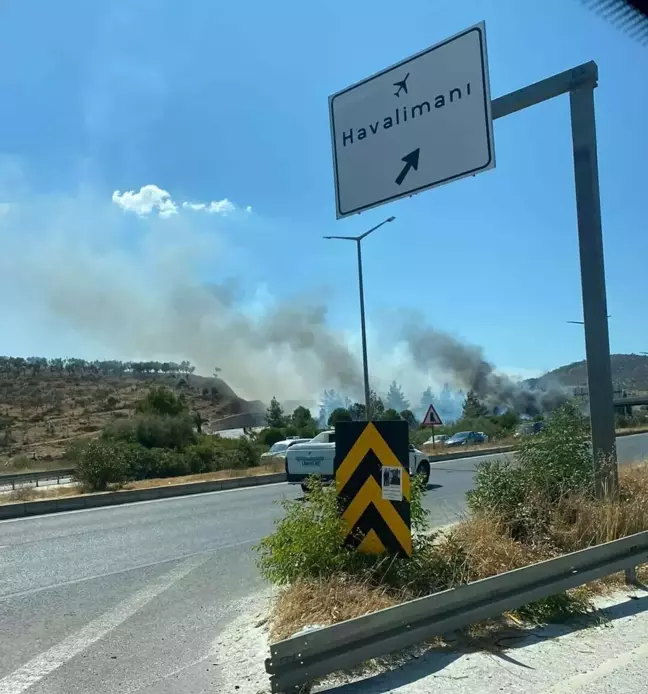 Muğla'da çıkan yangın ormana sıçradı