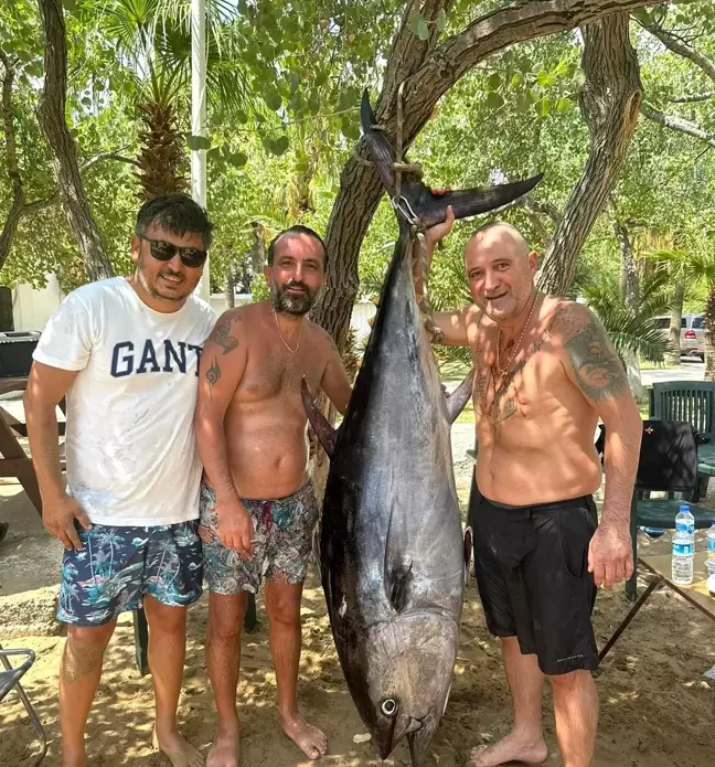 Mersin'de Dev Orkinos Balığı Yakalandı