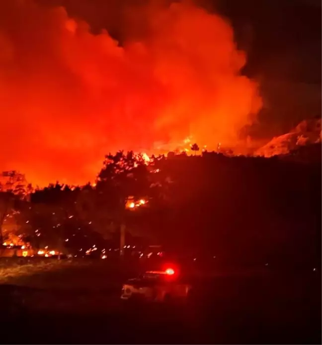 Muğla'da Orman Yangını, Rüzgarın Etkisiyle Büyüdü