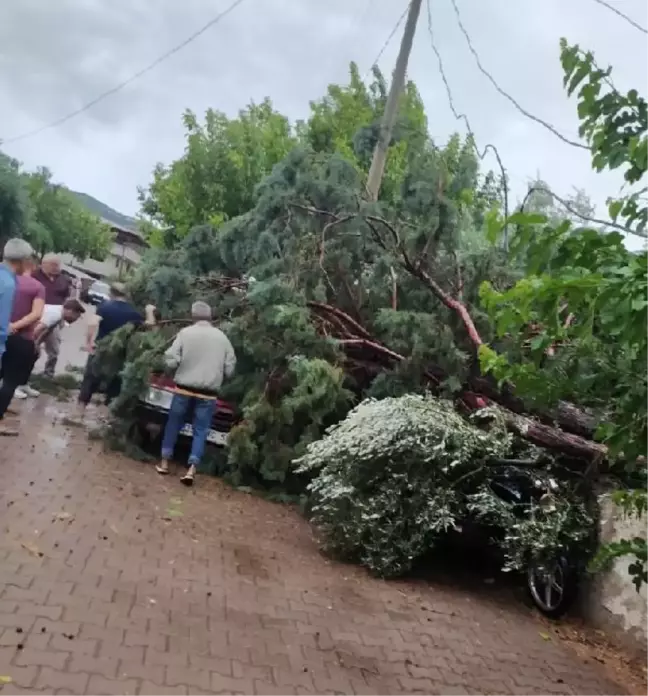 Alaşehir'de fırtına ve sağanak günlük yaşamı olumsuz etkiledi