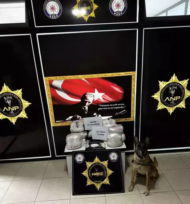 Adıyaman'da 12 Kilo Skunk ve Eroin Hammaddesi Ele Geçirildi