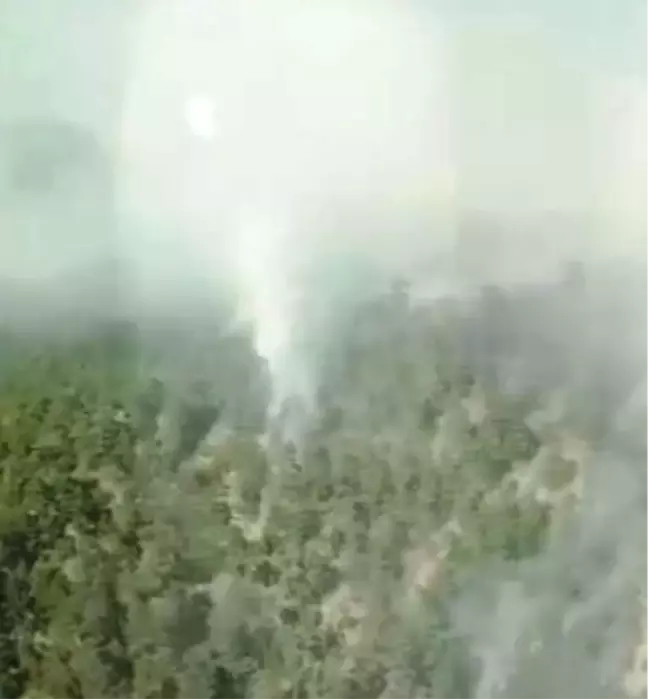 Kahramanmaraş'taki Orman Yangını Kontrol Altına Alındı