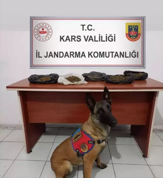 Kars'ta Uyuşturucu Operasyonu: Zanlı Tutuklandı