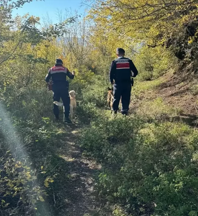 Karabük'te Kayıp Yaşlı Adam İçin Arama Çalışmaları Devam Ediyor