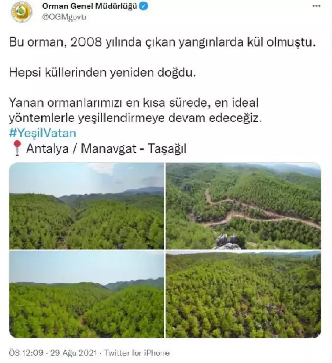 Manavgat'ta 13 yıl önce yanan orman yeşillendi