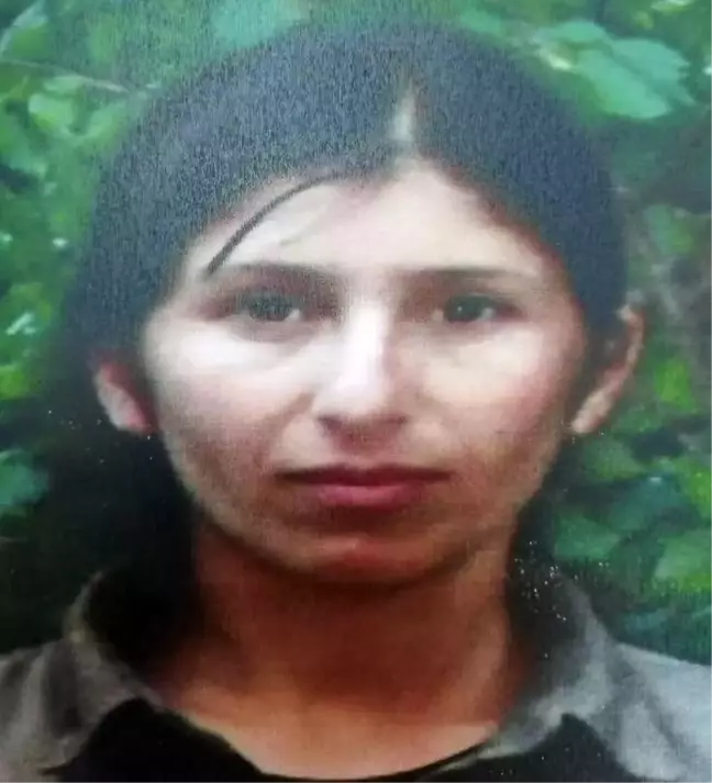 PKK'nın sözde 'Dersim eyaleti' konsey üyesi sağ yakalandı