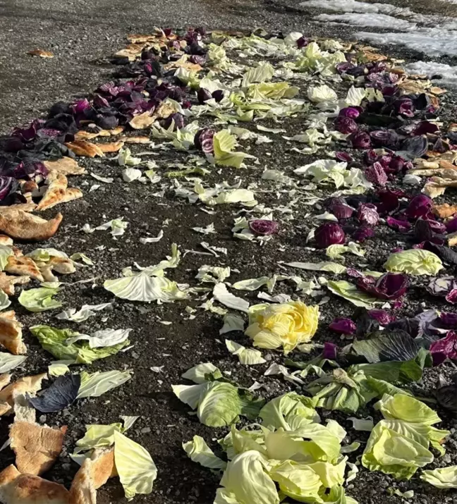 Bahçesaray'da Yaban Hayvanları İçin Gıda Desteği