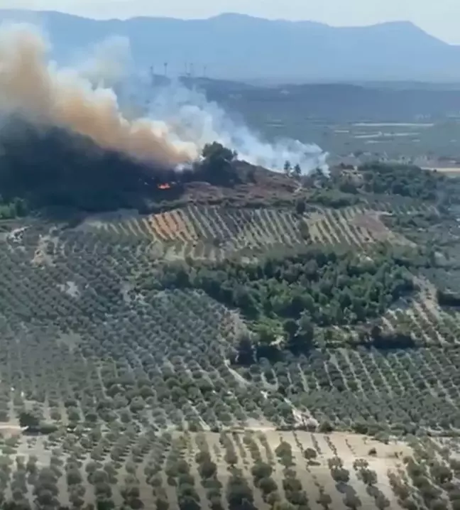 Manisa'da Orman Yangını: Havadan ve Karadan Müdahale Ediliyor