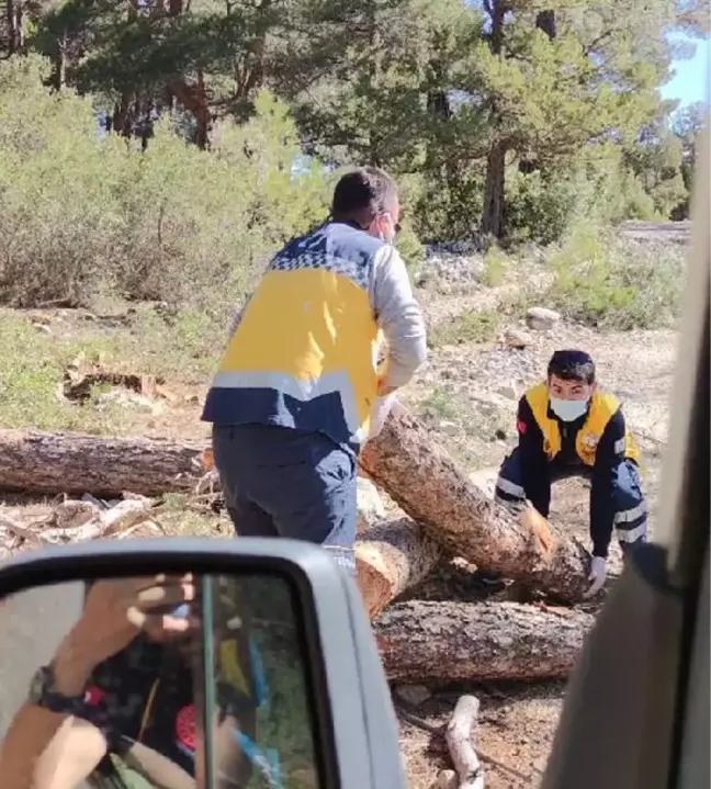 Yolu kapatan kütükleri kaldırıp, hastaya ulaştılar