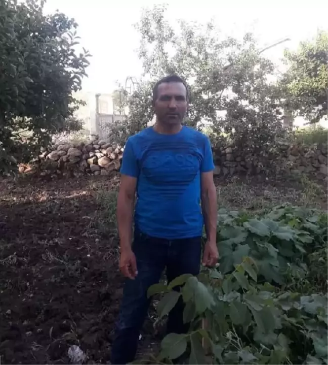 Damadın babası taburcu oldu, düğün magandaları tutuklandı