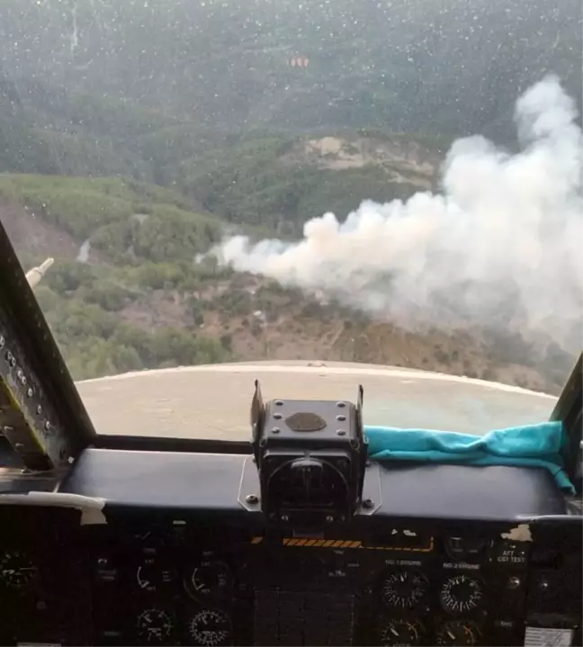 Muğla'nın Milas ilçesinde orman yangını hızlı müdahale ile söndürüldü