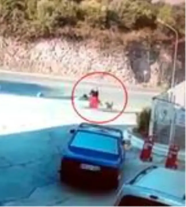Köpeklerin saldırısına uğrayan kadının yardımına çevredekiler koştu