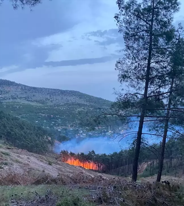 Mersin Tarsus'ta Orman Yangını Kontrol Altına Alındı