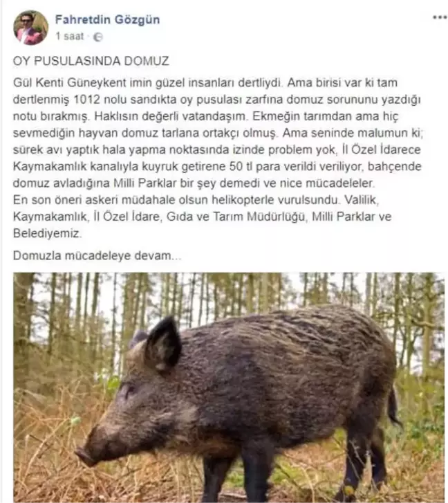 Oy Pusulasındaki 'Domuz' Serzenişine Belediye Başkanından Cevap